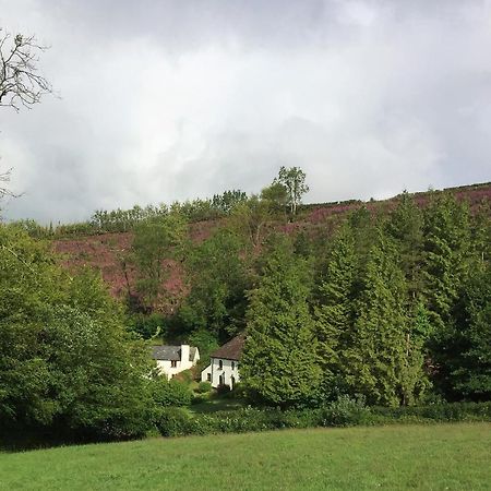 Barn Owl Cottage Minehead Exterior photo