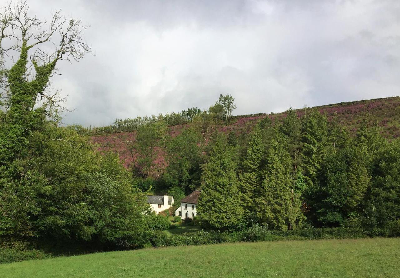 Barn Owl Cottage Minehead Exterior photo